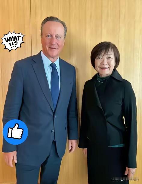 安倍晋三要是泉下有知，估计得气得翻个身——他老婆安倍昭惠在他死后，直接开启了“环