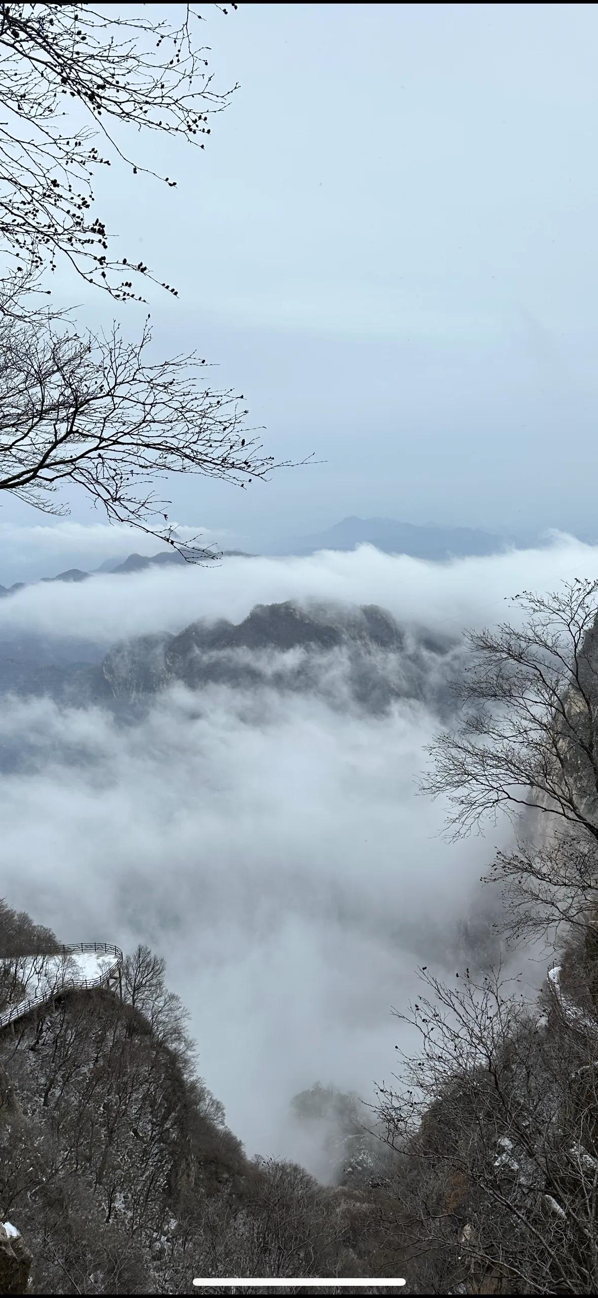 #太行山哪里云海最好# 10月20日，雪后五岳寨的云海，美翻了！