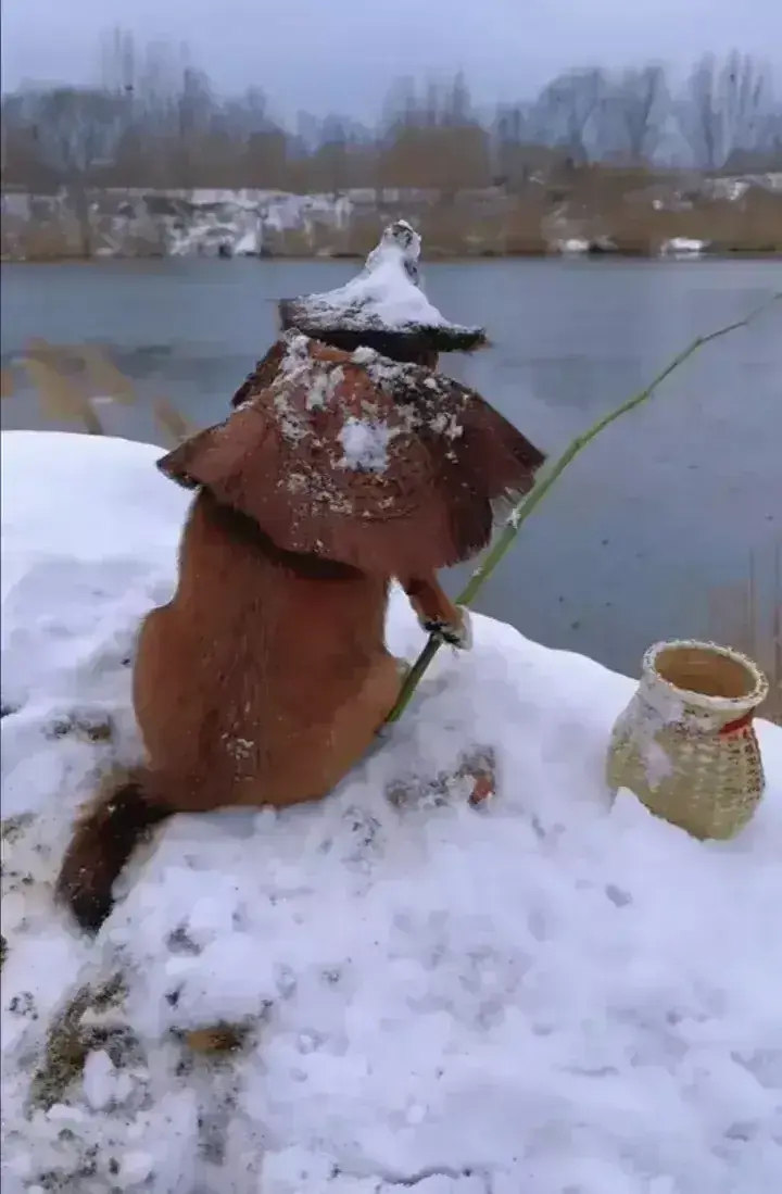大雪纷飞的天气里，一只狗狗独坐塘边，为慵懒的主人钓鱼。​​​