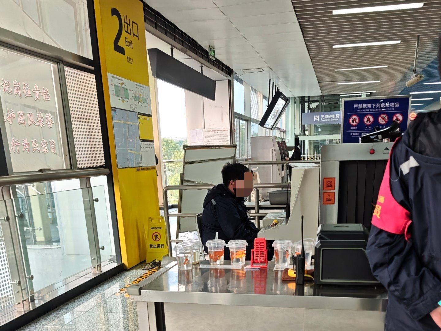 轻轨里的小型“宠物展览会” 