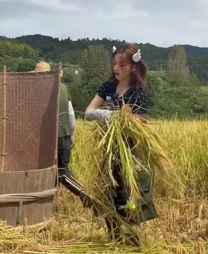 娱乐八卦 最近，杨超越在综艺《非来不可》里打谷子的视频，直接被圈粉了，这哪是明星