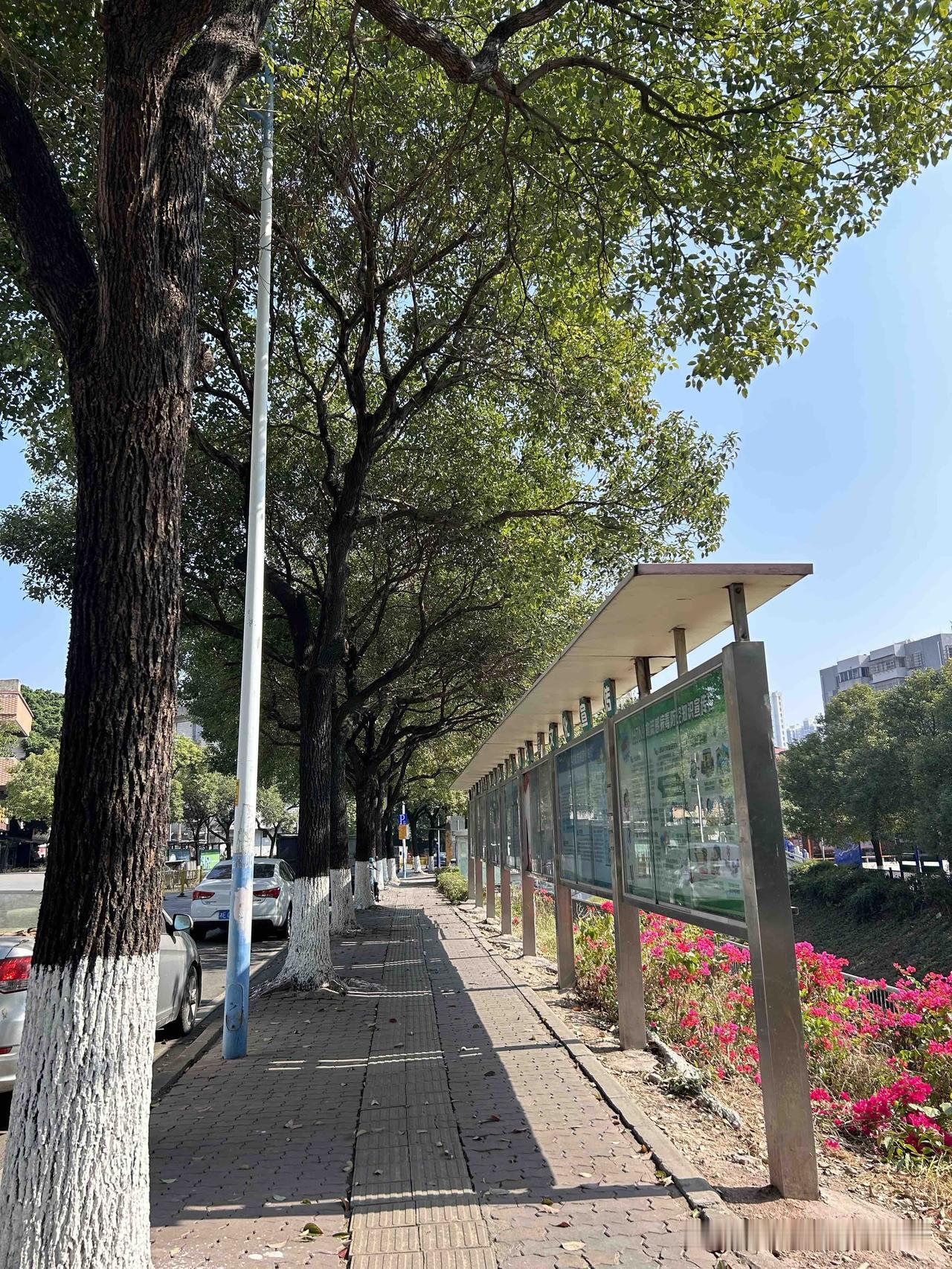 为什么说中年人不能做的工作很多，

最大的原因其实很简单，其实在于中年人的身体吃