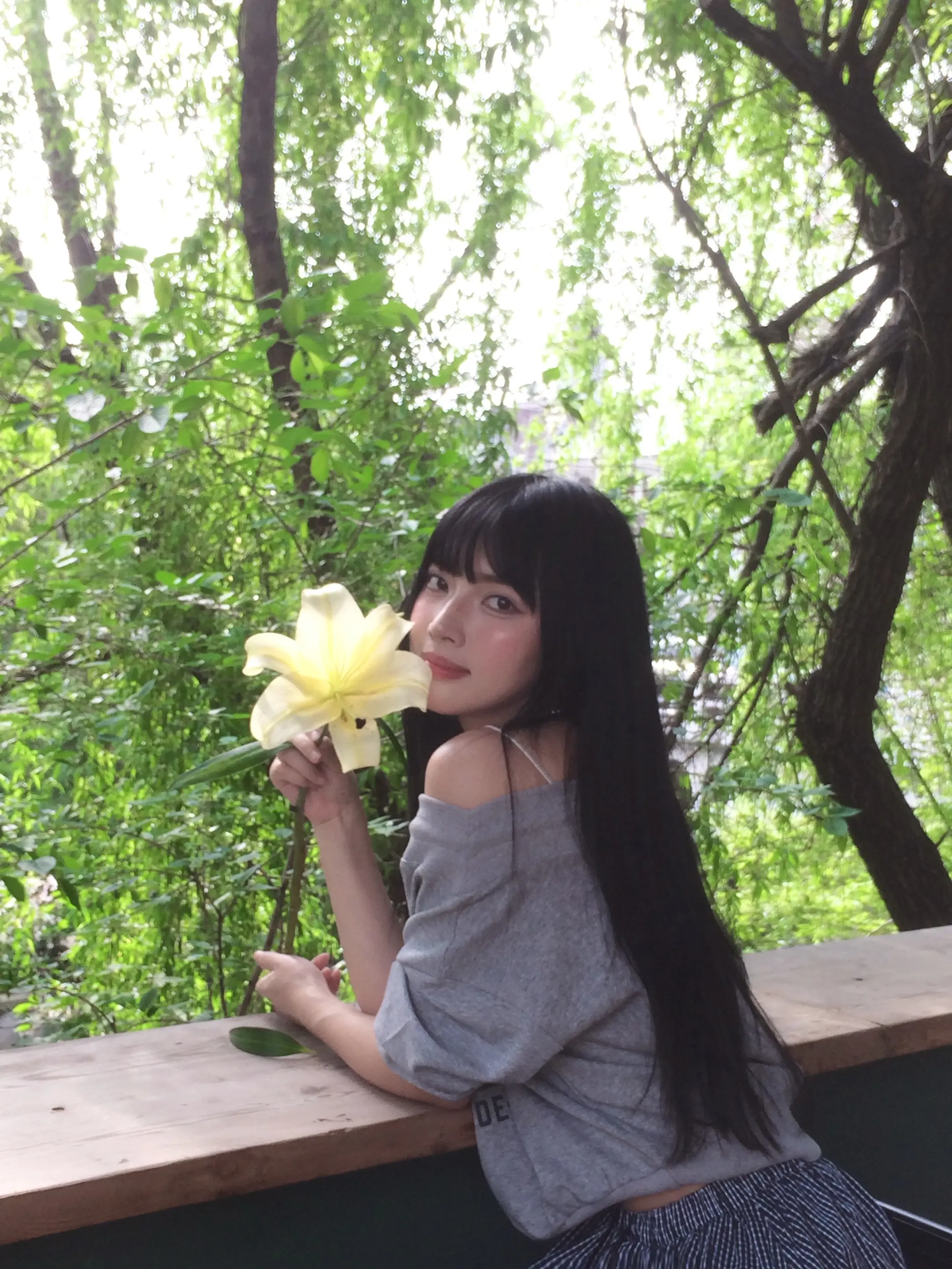 潮湿氤氲的春。