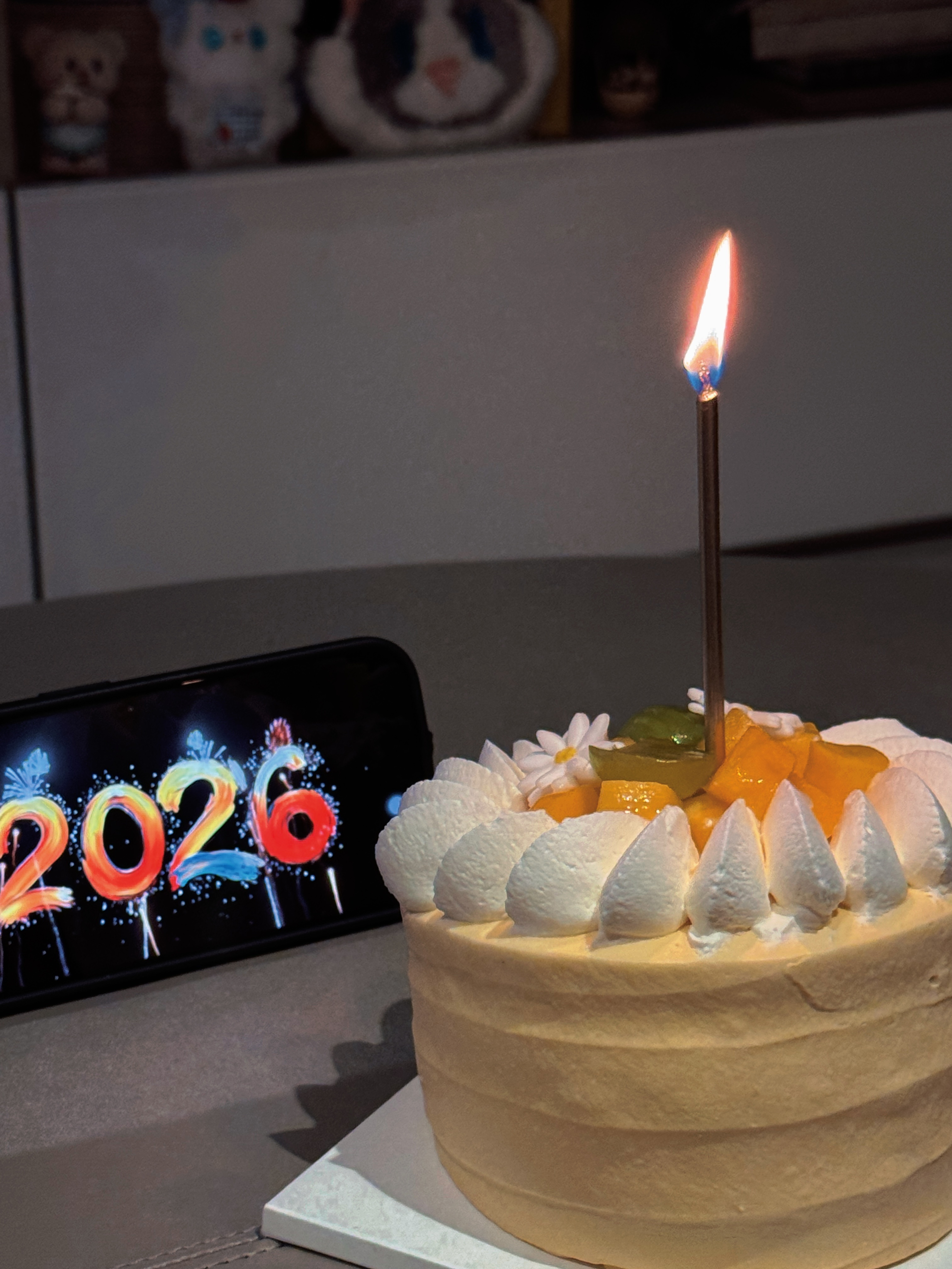 祝大家新年快乐🎉新年快乐