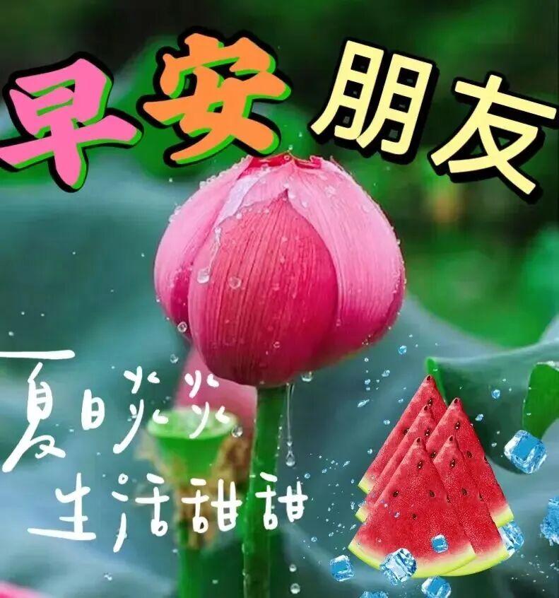 心在，缘在，牵挂在，我的祝福永远在。人生如同大舞台，随心自在奔赴幸福，坦荡无悔走