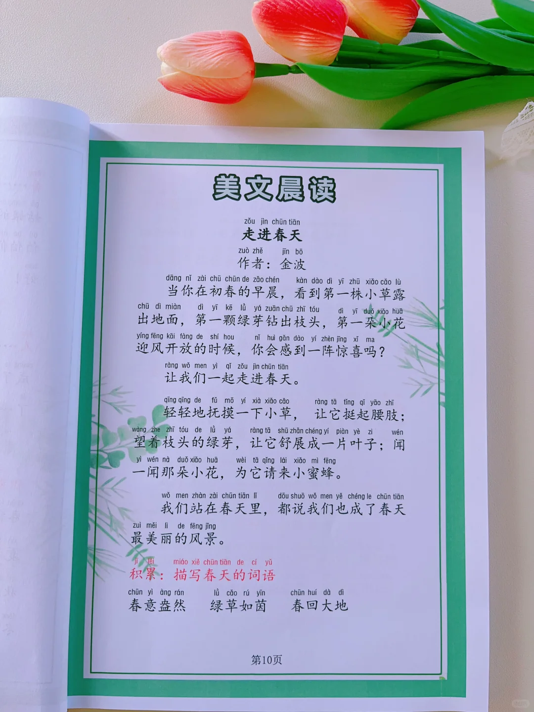你的晨读计划正确吗❓90%的孩子都做错了❌
