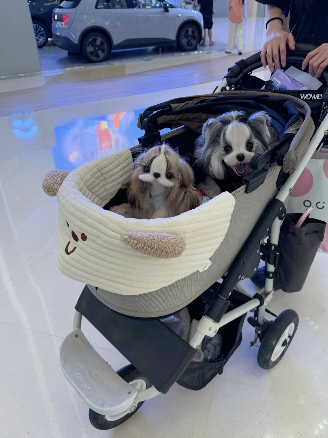 两个可爱的崽崽