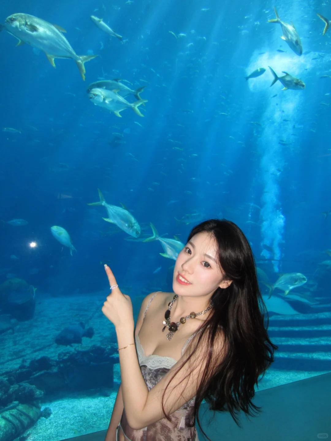 三亚｜0元get‼️亚特兰蒂斯水族馆