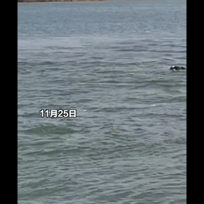 羽绒服救命记：那个冬天，一件衣服拉住了她的手！

你永远想不到，生活中最普通的物