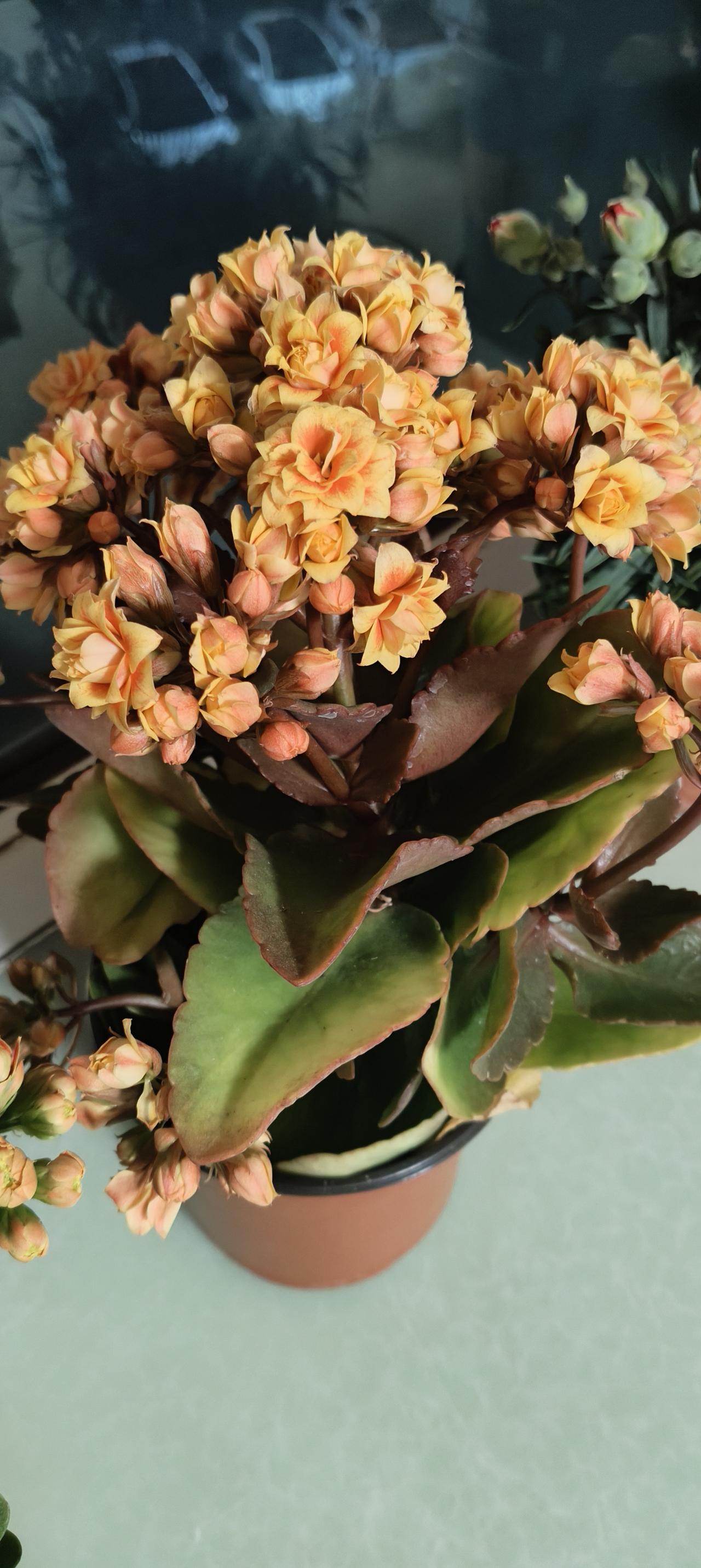 下周股市走势预测：

周一23号，周二24号继续震荡下行；
周三25号，周四26