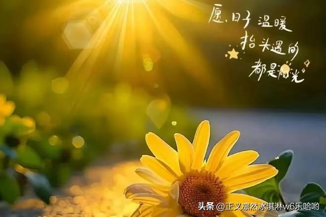 大学生返乡当花农，真的找到了诗和远方！就像浏阳古港镇金园村的三位大学生，2013