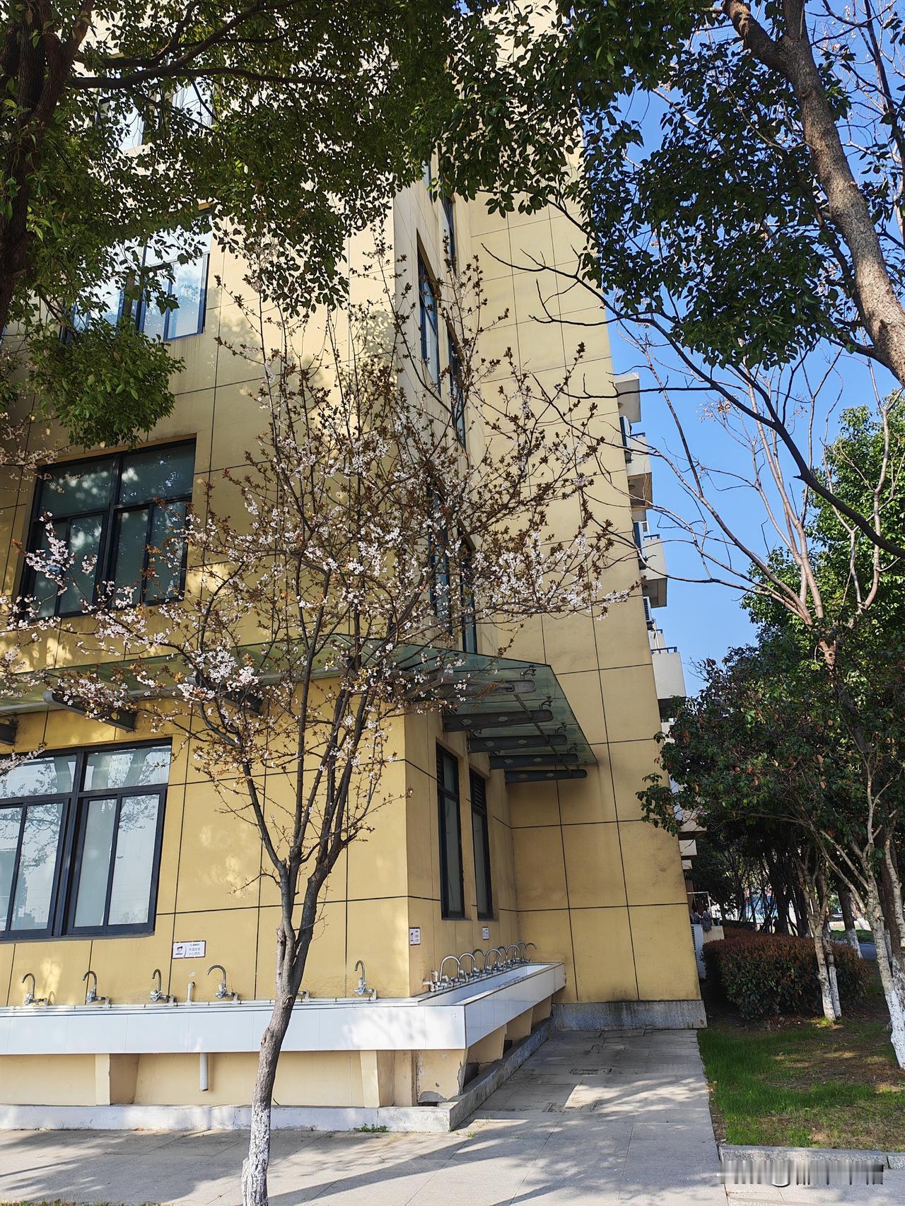 做一个单纯的老师，教书育人。年轻的时候（八九十年代）基本上做到了，那时候虽然穷，