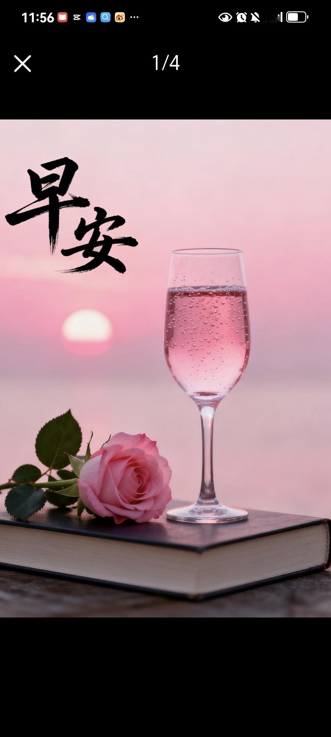 在这纷繁世界里摸爬滚打，苦乐自尝。敬自己一杯酒，敬过往的拼搏与坚持，那些咬牙挺过