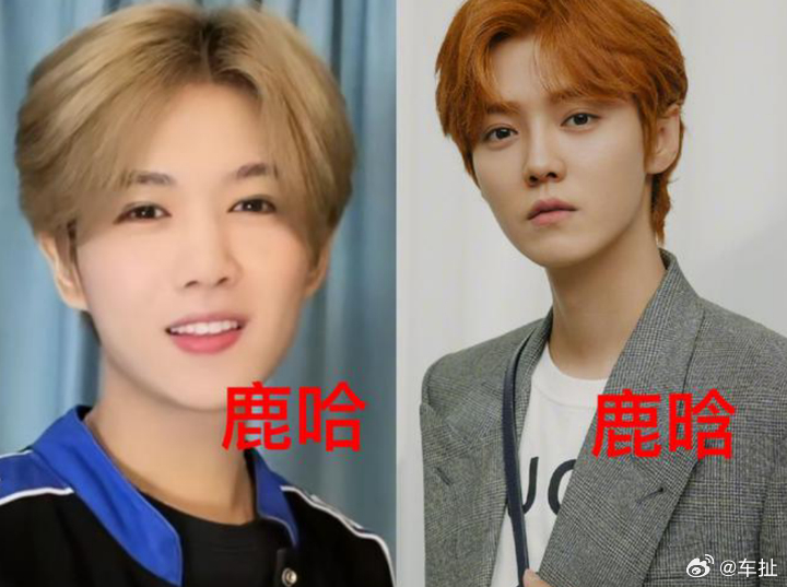 鹿哈订婚 看错了看错了，我还以为是鹿晗.. ​​​