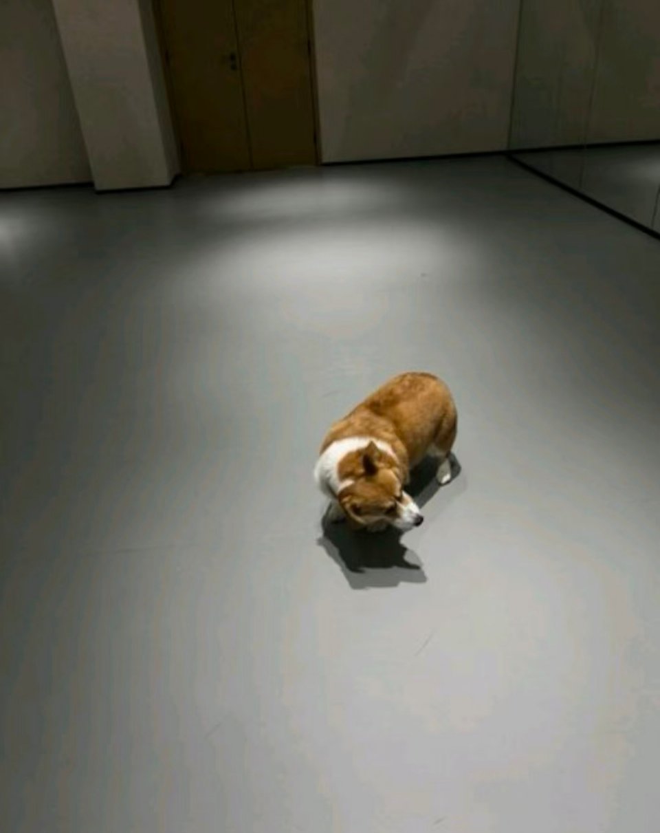 那么萌的嘛我啵姐 
