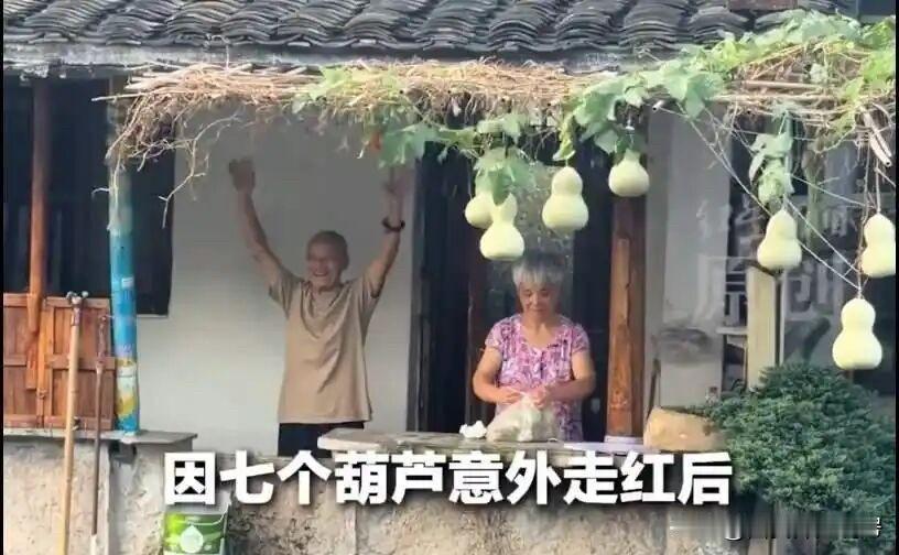 葫芦爷爷和老伴已经连夜摘走了自己种的七个葫芦，游客和网友们也就别再打扰老人生活了