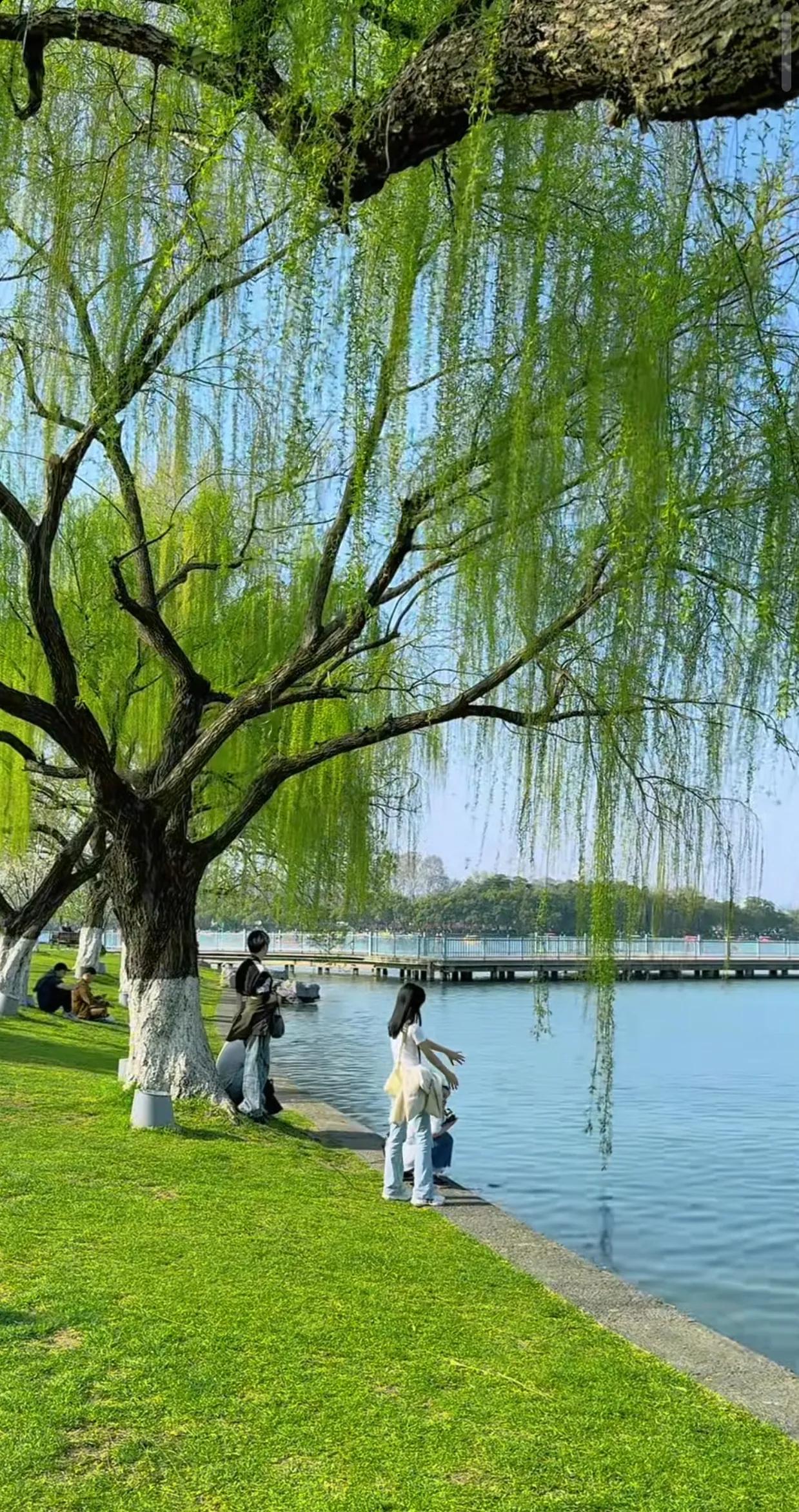 在湖畔漫步，蓝天白云相伴，春风拂面，感受着春天的气息与美好。人生无论走到哪里，只