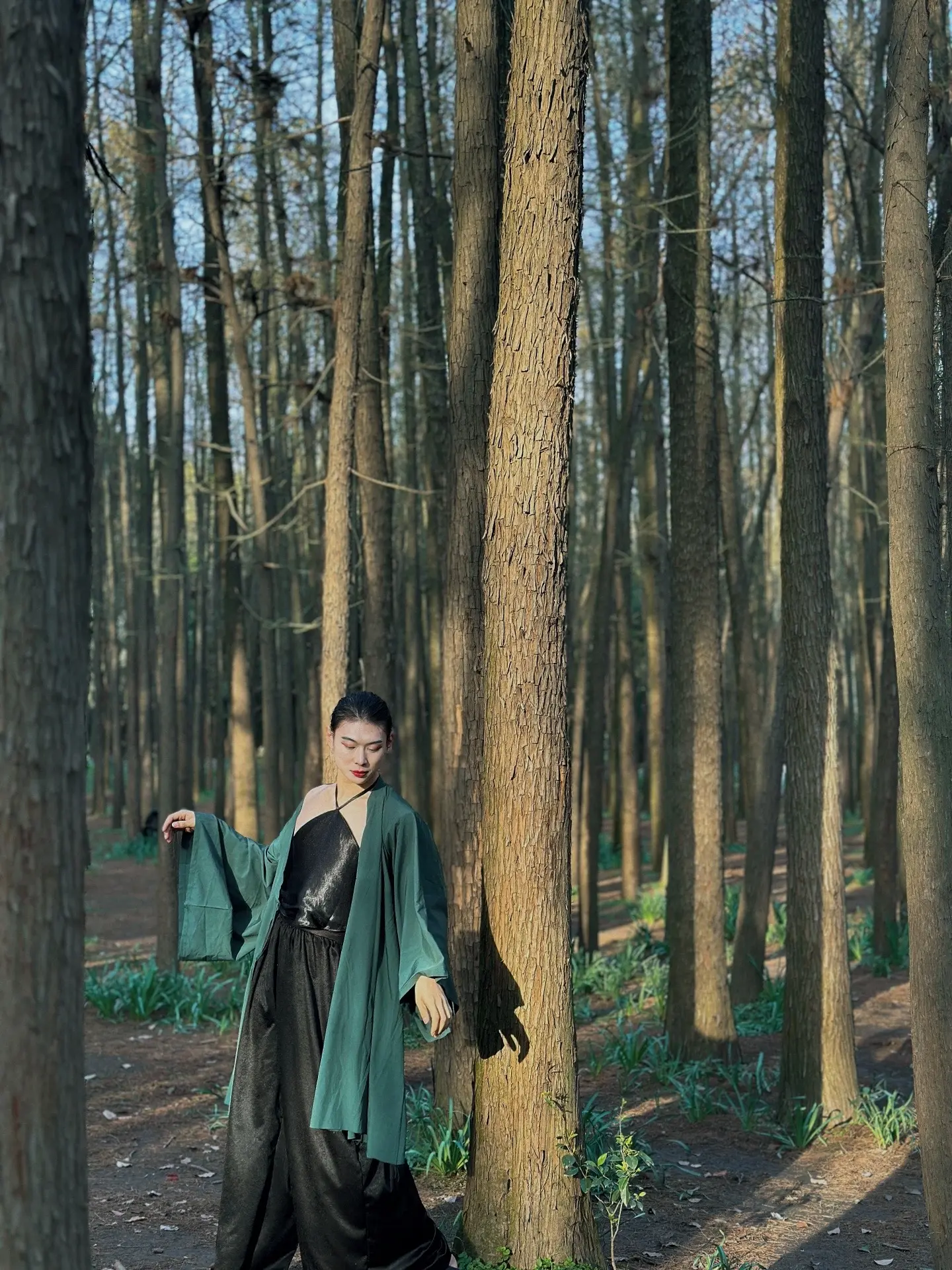 🌿若有人兮山之阿 披薜荔兮带女萝🌿