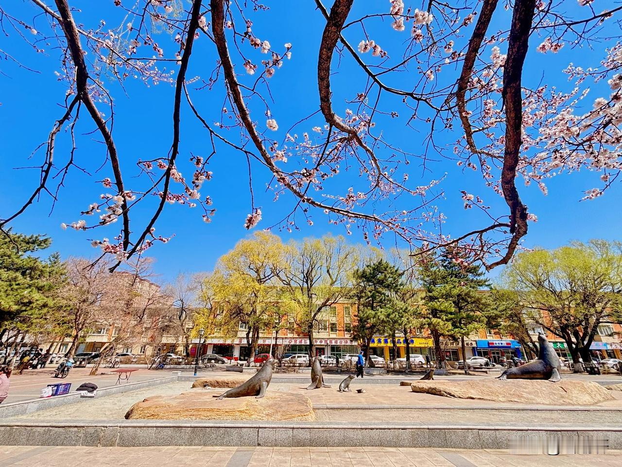 长春最美景色长春机车厂·海狮公园