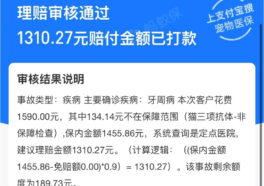 我家猫咪因为牙结石闹上了牙龈炎，平时刷牙根本清理不掉，没办法只能带它去宠物医院洗
