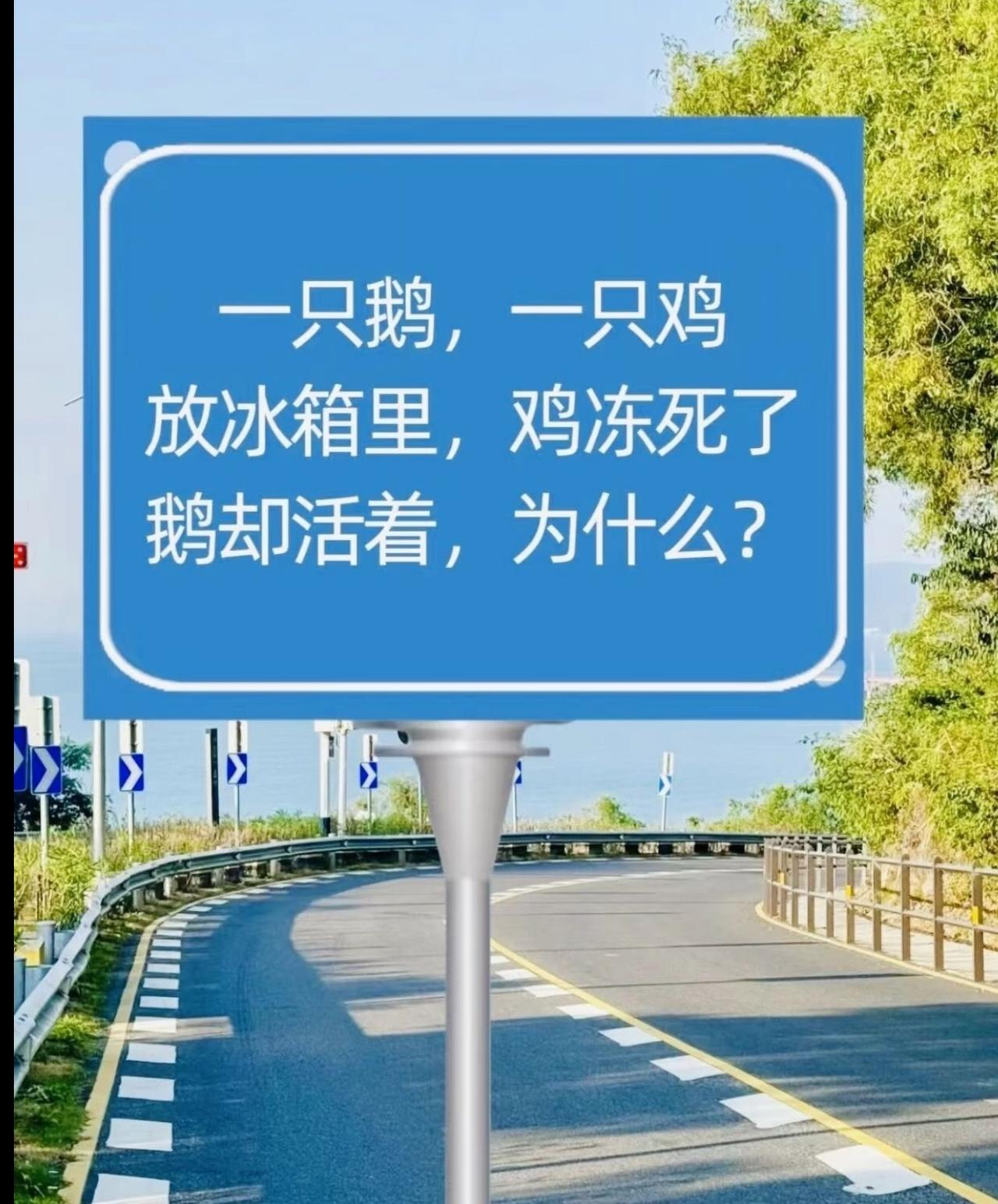一只鹅，一只鸡，放冰箱里，鸡冻死了鹅却活着，为什么？
