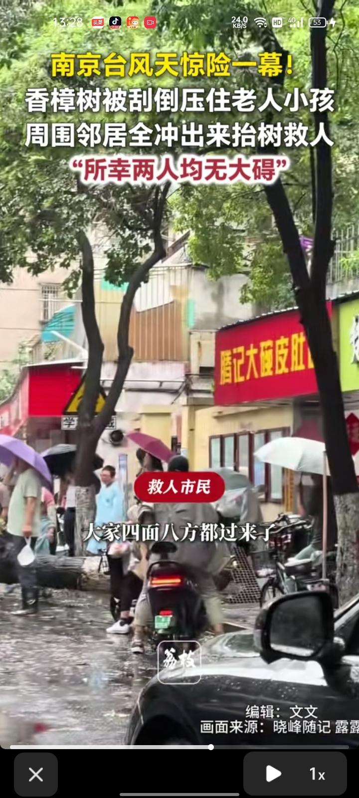 8月10日，江苏南京。台风“白海豚”来袭，香樟树刮倒压到老人和小孩，周围邻居冲出