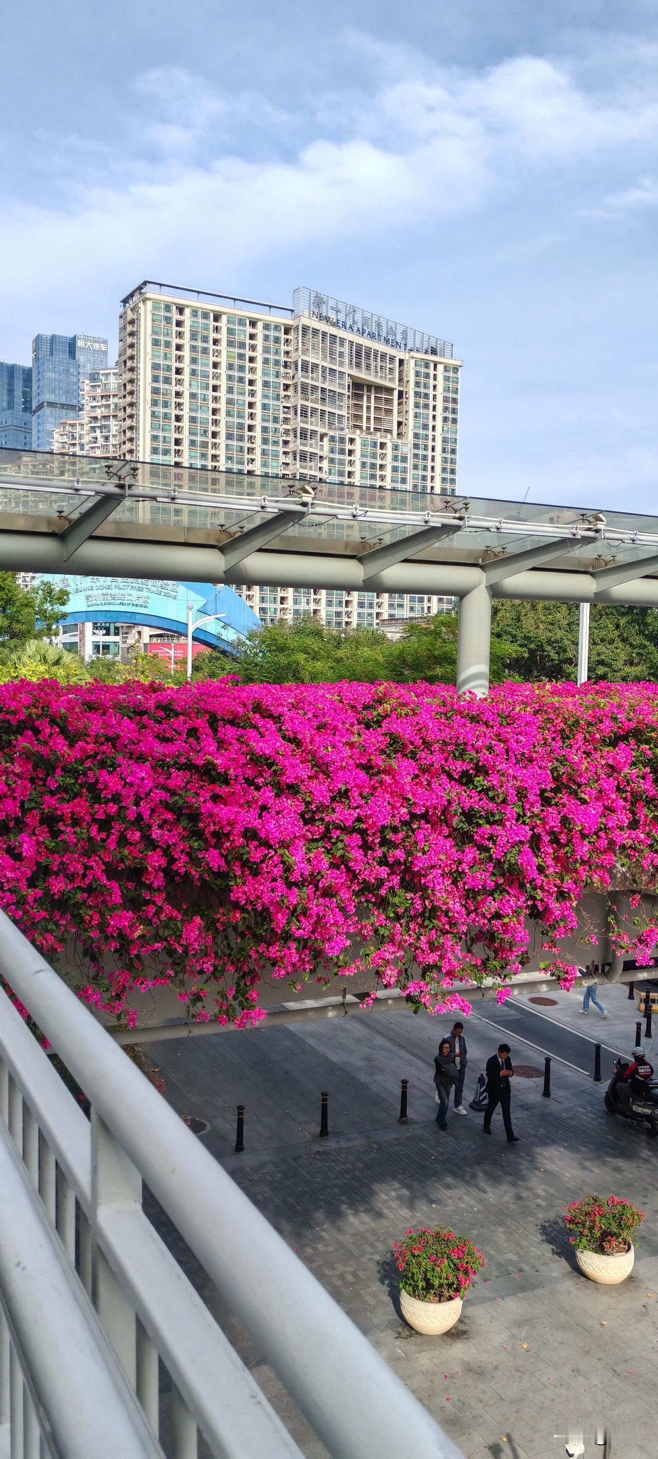 可以没有爱心，但一定要慈悲，不可以有恨。恨不会解决问题，只会加剧矛盾。
如果念佛