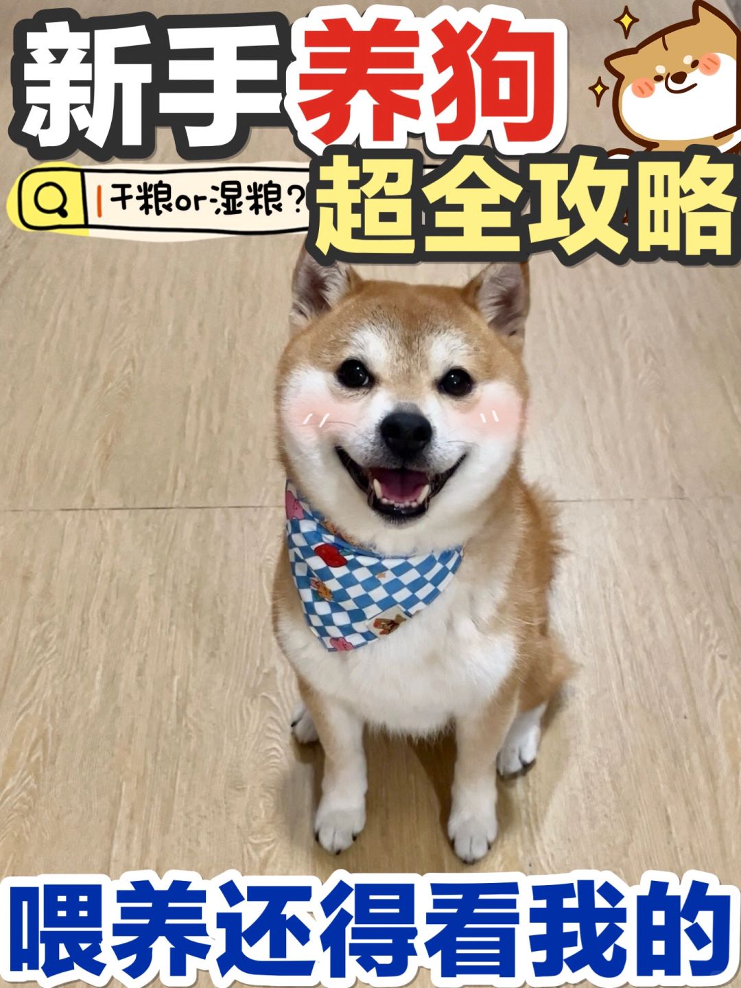 罐头选的好～崽崽吃饭没烦恼