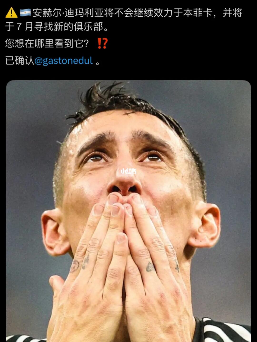 天使在七月将重新寻找俱乐部！