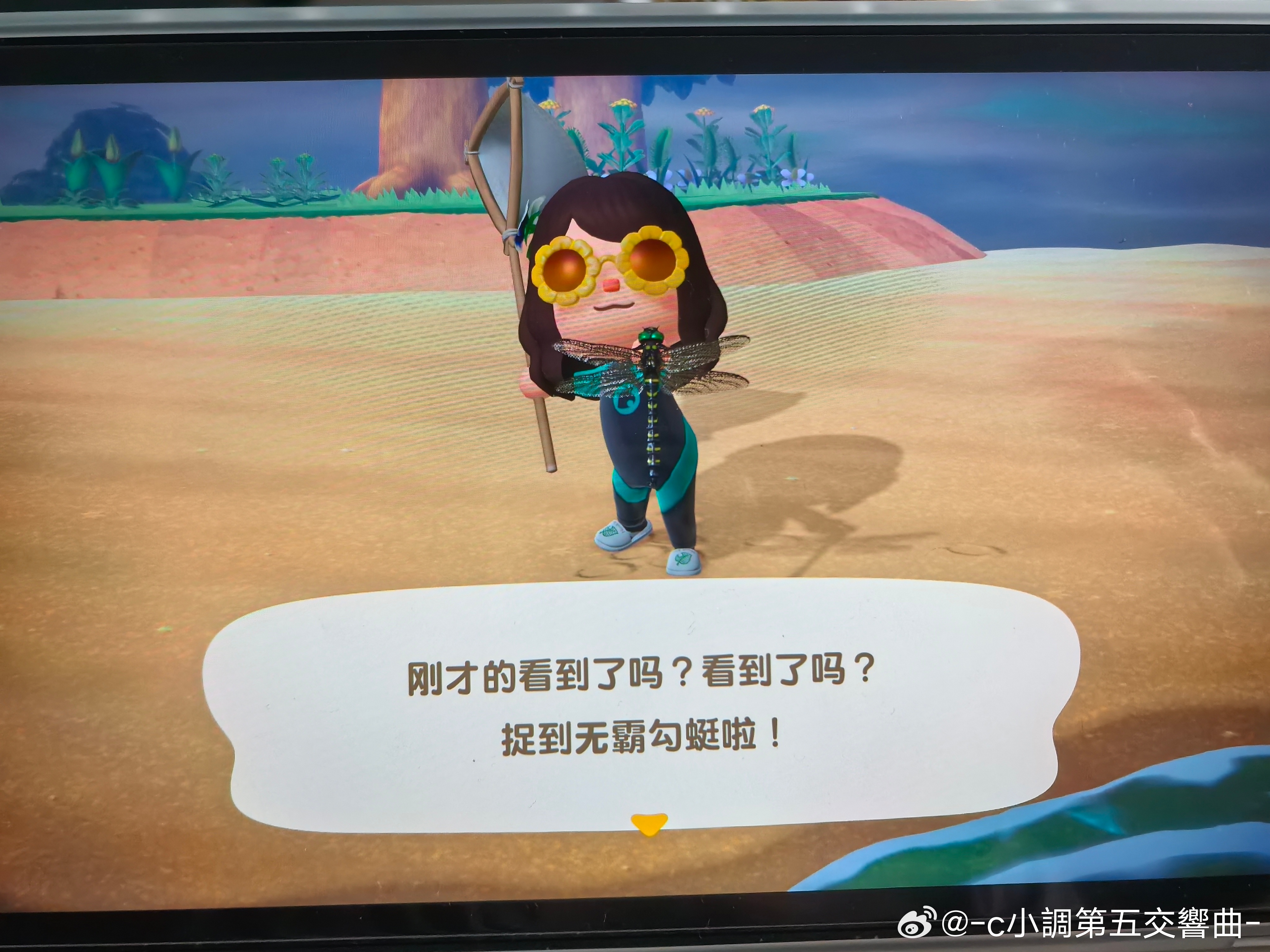 ………… 