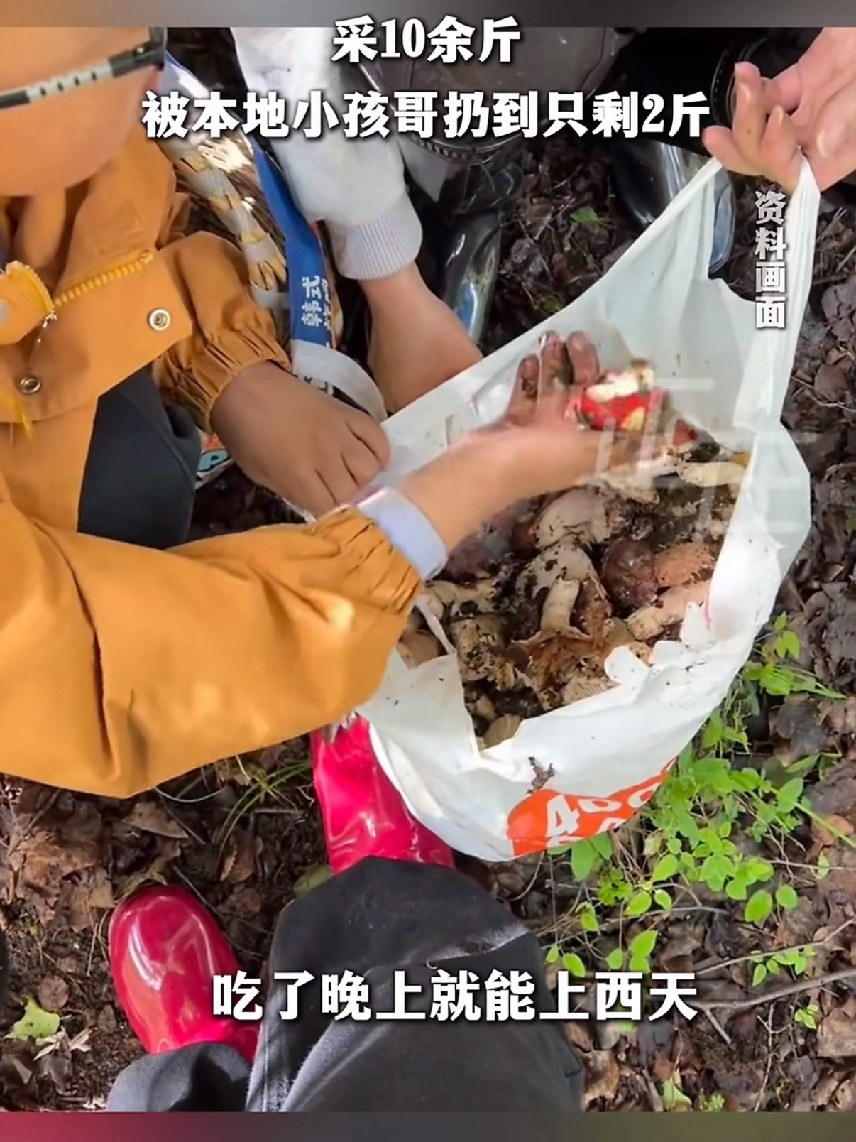 情侣采10斤菌子被本地小孩扔到2斤还好这对情侣遇到了本地热心小孩哥，不然听信AI