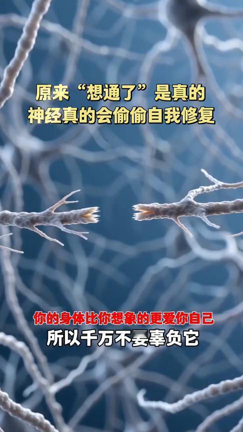 原来"想通了"是真的，神经真的会偷偷自我修复。
你的身体比你想象的更爱你自己，所