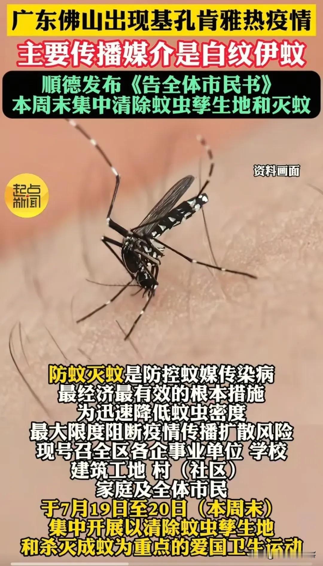 “挨一嘴，疼半月！” 谁能想到啊，顺德区正遭带毒花蚊奇袭——黑底白纹的伊蚊咬人后