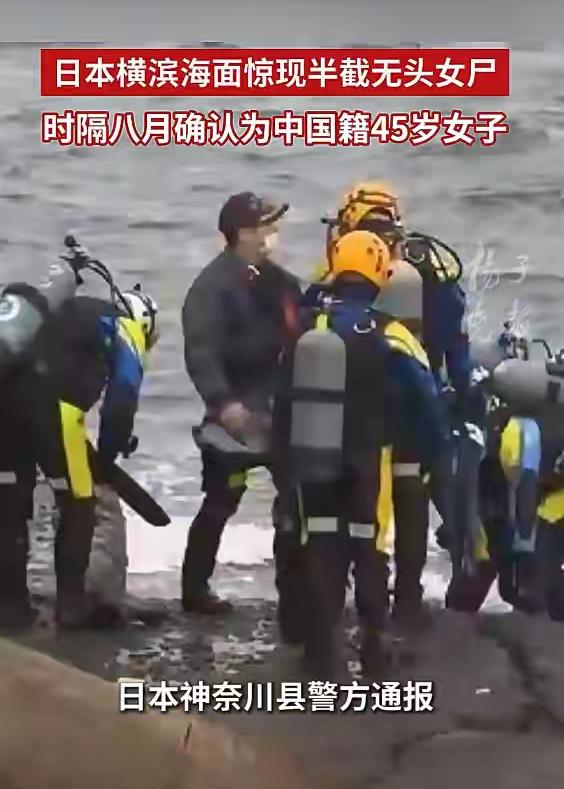 7月7日这天，日本警方公布的消息，看得人怒火中烧。

2025年11月，横滨市山