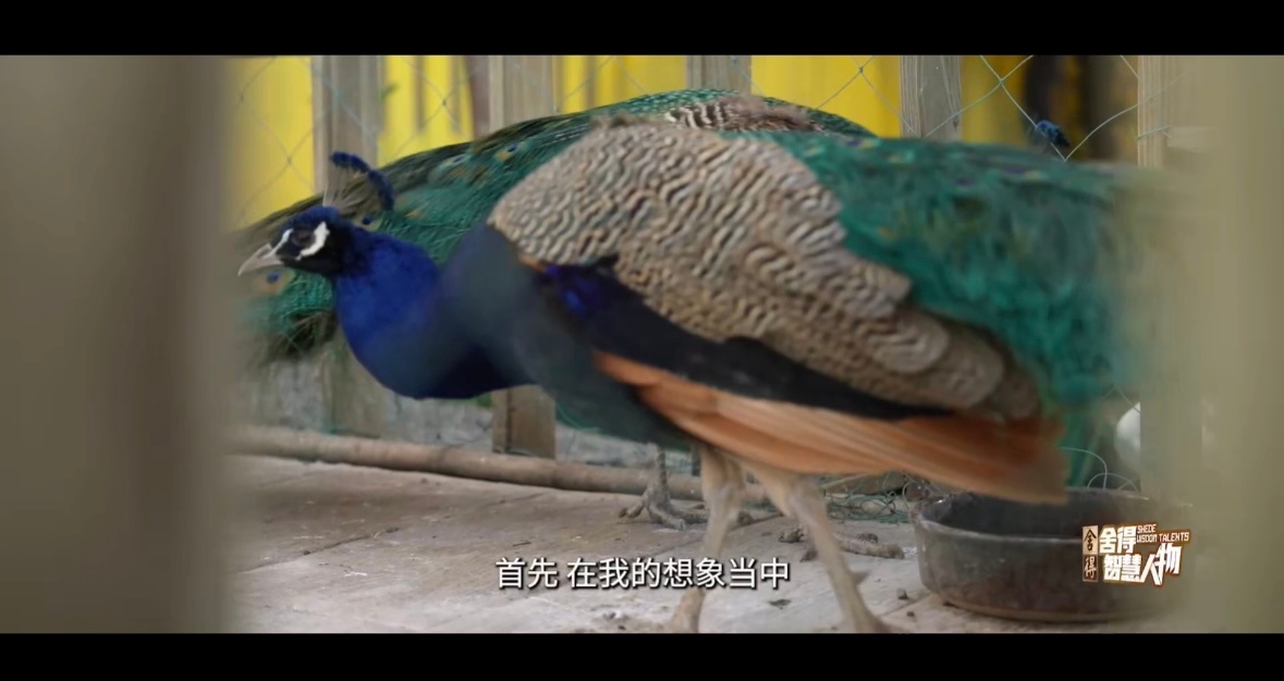 看了陈梦最新采访才懂，当年那句 “我的时代来了” 背后全是故事 —— 进国家队1