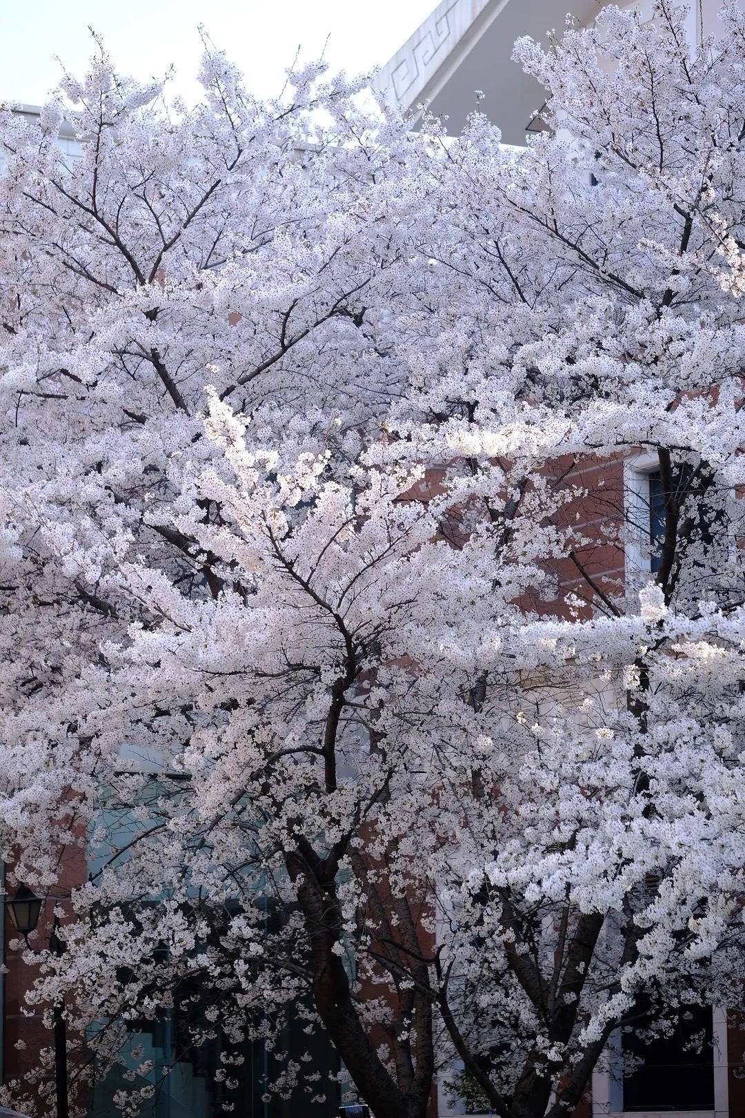 普通人的一生：

1、性生活：4000次左右
2、睡觉：20万小时左右
3、喝水