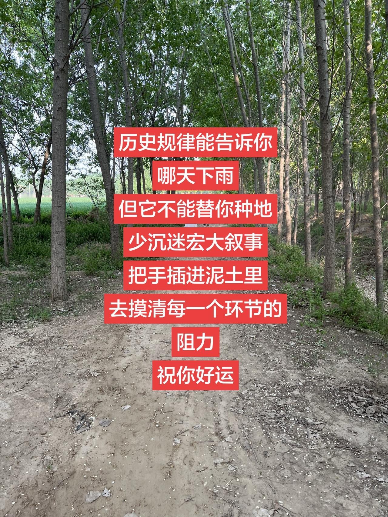 乡间小路 时代 聪明人