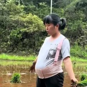 湖南怀化一村子，怀孕八个月的孕妇赤脚踩进泥水田插秧，丈夫在田埂递苗，婆婆弓着腰忙