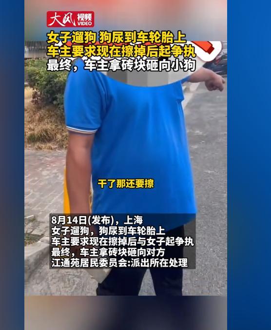 “干了就不用擦！”8月14日，上海一女子的逆天发言引得众多网友怒骂。女子早上遛狗