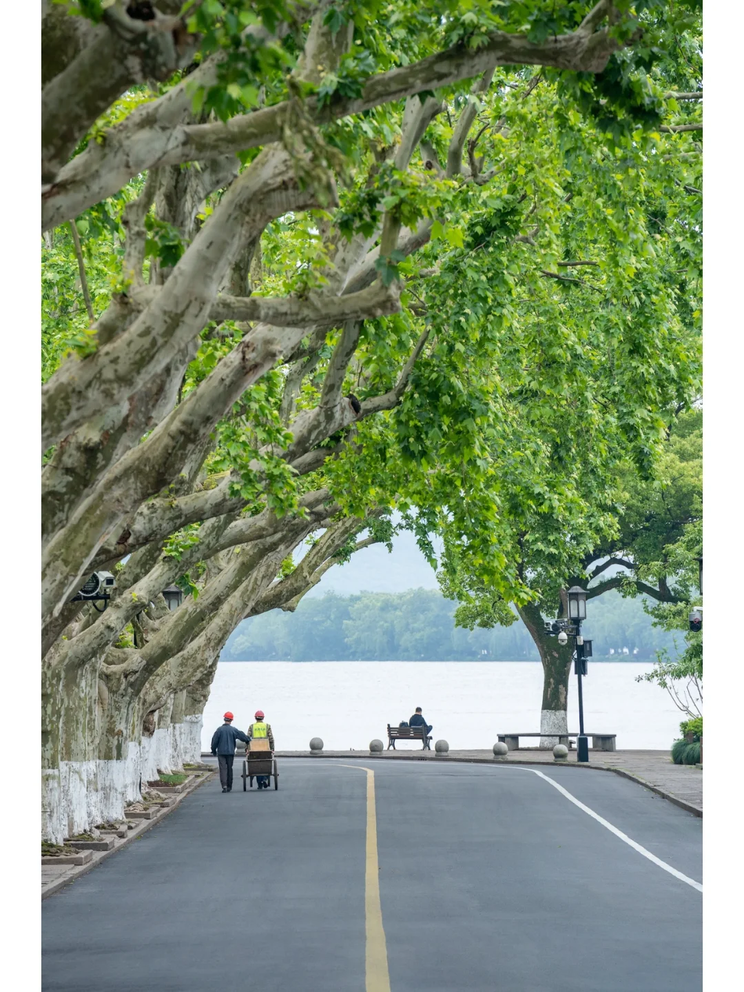 如果五一不出杭州那就来北山街走走