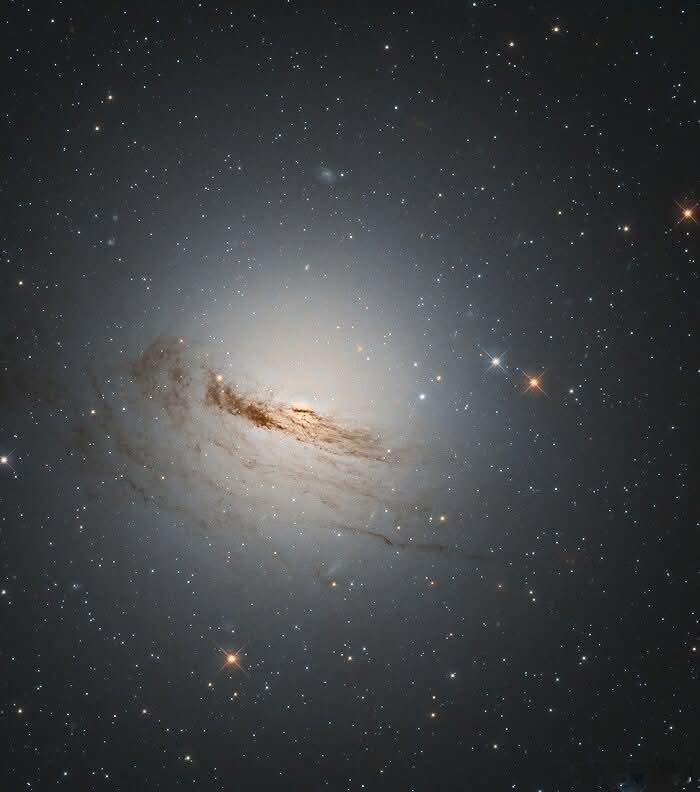微弱残余丝缕，通过 NASA/ESA 哈勃太空望远镜凝视宇宙暮光，你会发现 NG