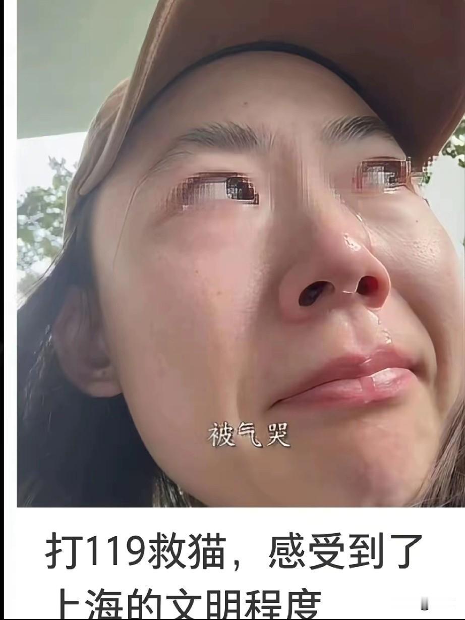 为了一只流浪猫，打119被拒之后当场气哭，还不忘把视频发网上。说实话，但凡她愿意