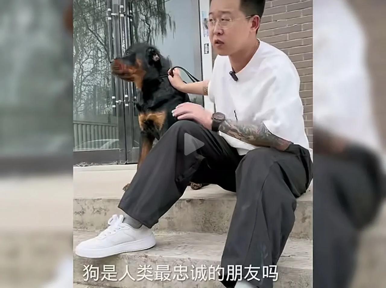 难得清醒狗主人