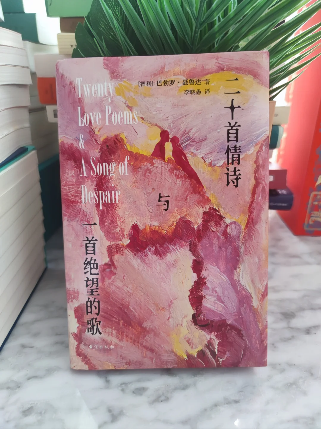 《二十首情诗和一首绝望的歌》：感受诗意