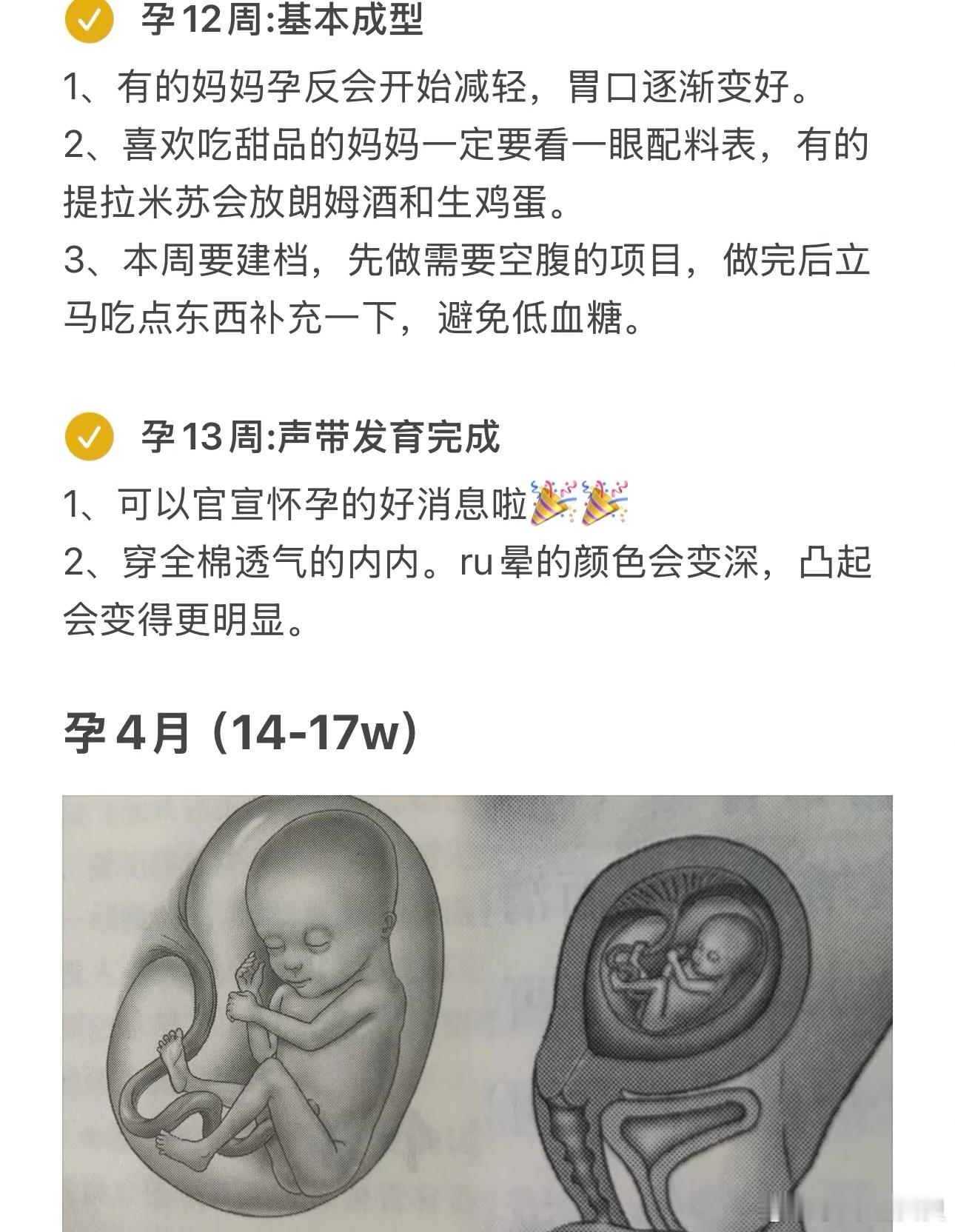 怀孕1-40周，来看看胎宝宝每个月在忙啥 