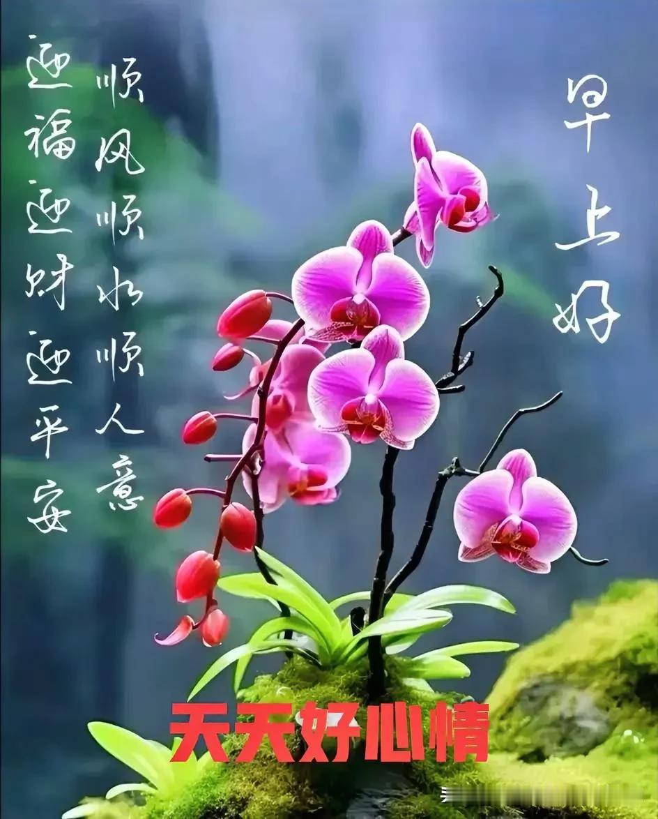 联1：🍀🍀🍀
松叶竹叶叶叶翠
稻花桂花花花香

联2：🌺🌺🌺
松叶竹