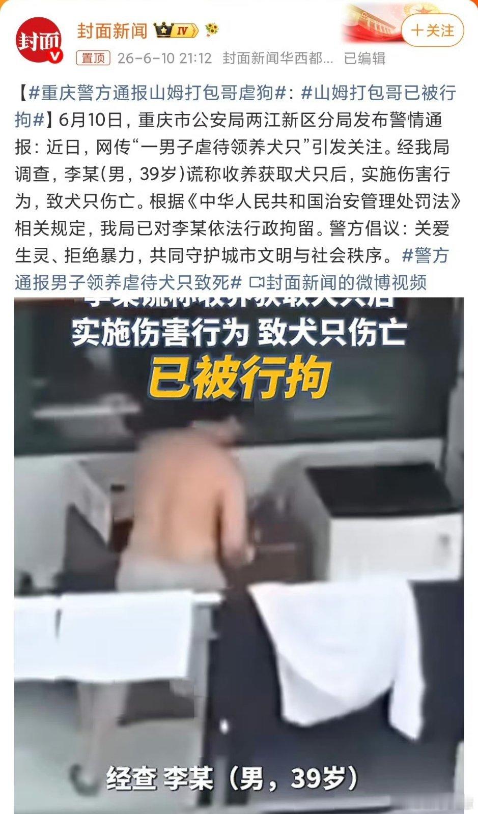 山姆打包哥已被行拘这个人真的坏呀，不喜欢小狗你可以不理它呀，你为什么要去害它呢？