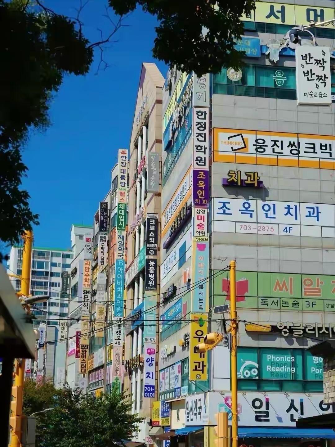 韩国散户用花圈祭奠账户，这届监管该不该“躺平”？

首尔汝矣岛国会大厦前，30多