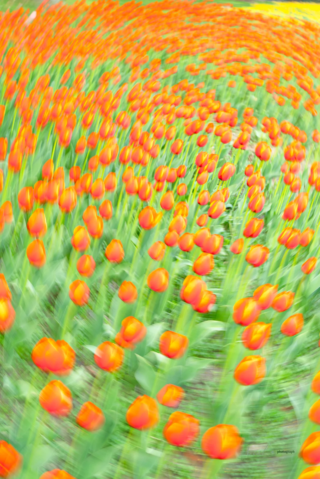 hi～想和你交换手机里的春天🌷