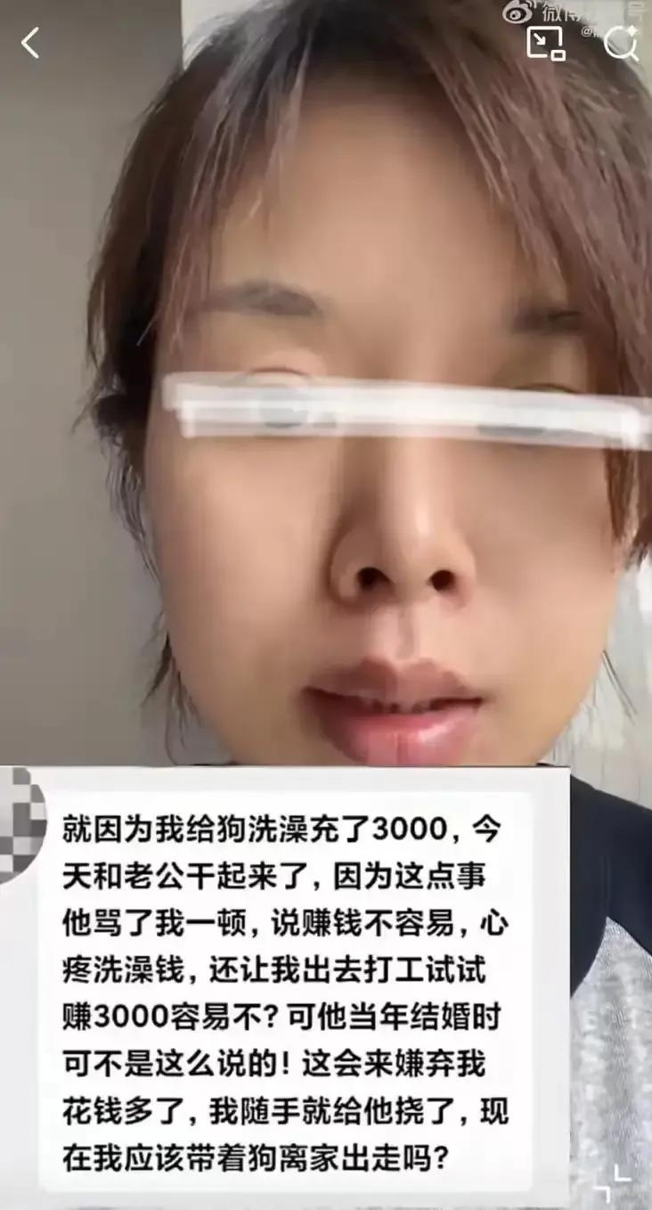 女子给狗充了3000元洗澡卡，丈夫怒斥其败家，女子竟要带狗离家出走，这究竟是怎么